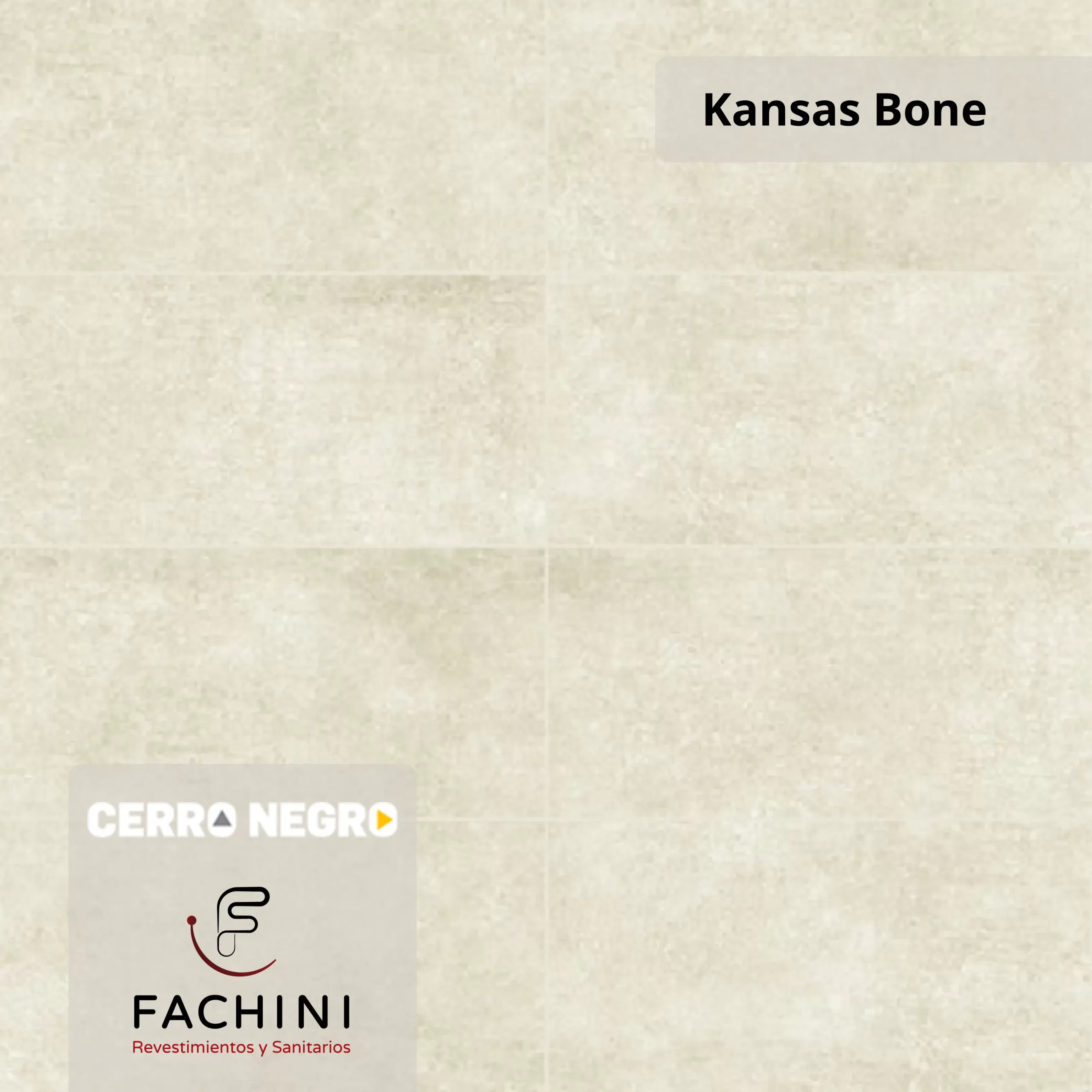 Kansas Bone - Cerámica - Cerro Negro