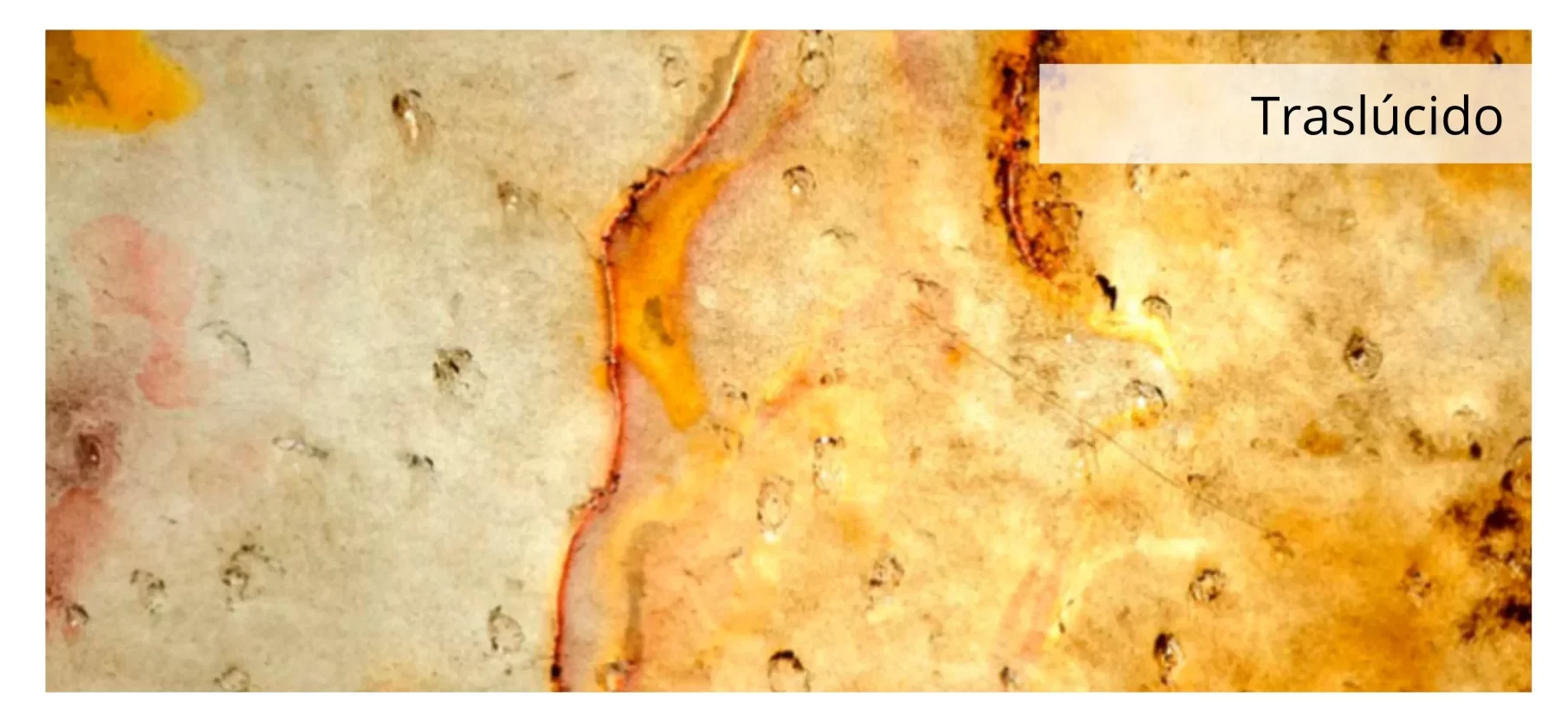 PedraFlex - Traslúcido