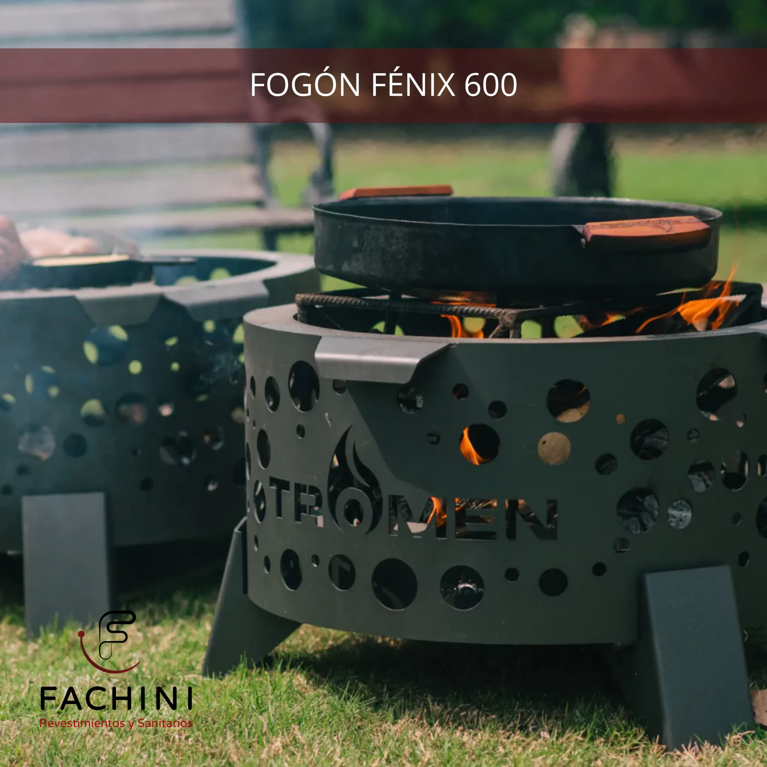 FOGÓN FÉNIX 600